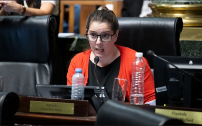 LA UCR CABA CUESTIONÓ A ADORNI: